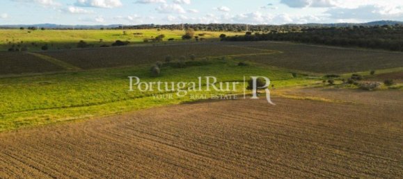 9 Schlafzimmer Grundstück in Evora, Portugal, Nr. 208993 7