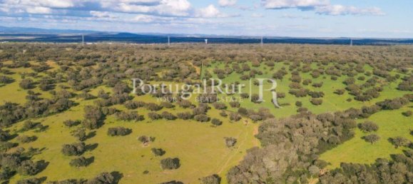 9 Schlafzimmer Grundstück in Evora, Portugal, Nr. 208993 18