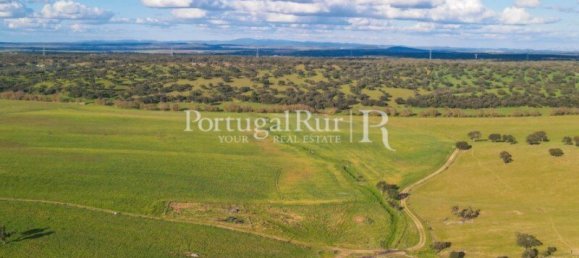 9 Schlafzimmer Grundstück in Evora, Portugal, Nr. 208993 4
