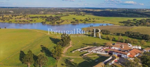 9 Schlafzimmer Grundstück in Evora, Portugal, Nr. 208993 3