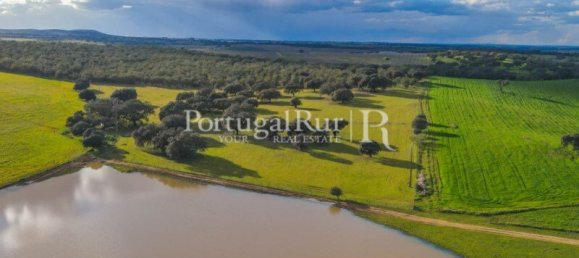 9 Schlafzimmer Grundstück in Evora, Portugal, Nr. 208993 10