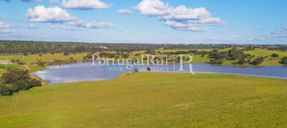 9 Schlafzimmer Grundstück in Evora, Portugal, Nr. 208993 12