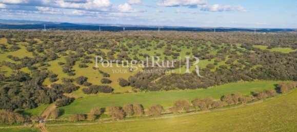 9 Schlafzimmer Grundstück in Evora, Portugal, Nr. 208993 15