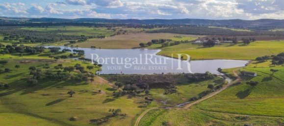 9 Schlafzimmer Grundstück in Evora, Portugal, Nr. 208993 6