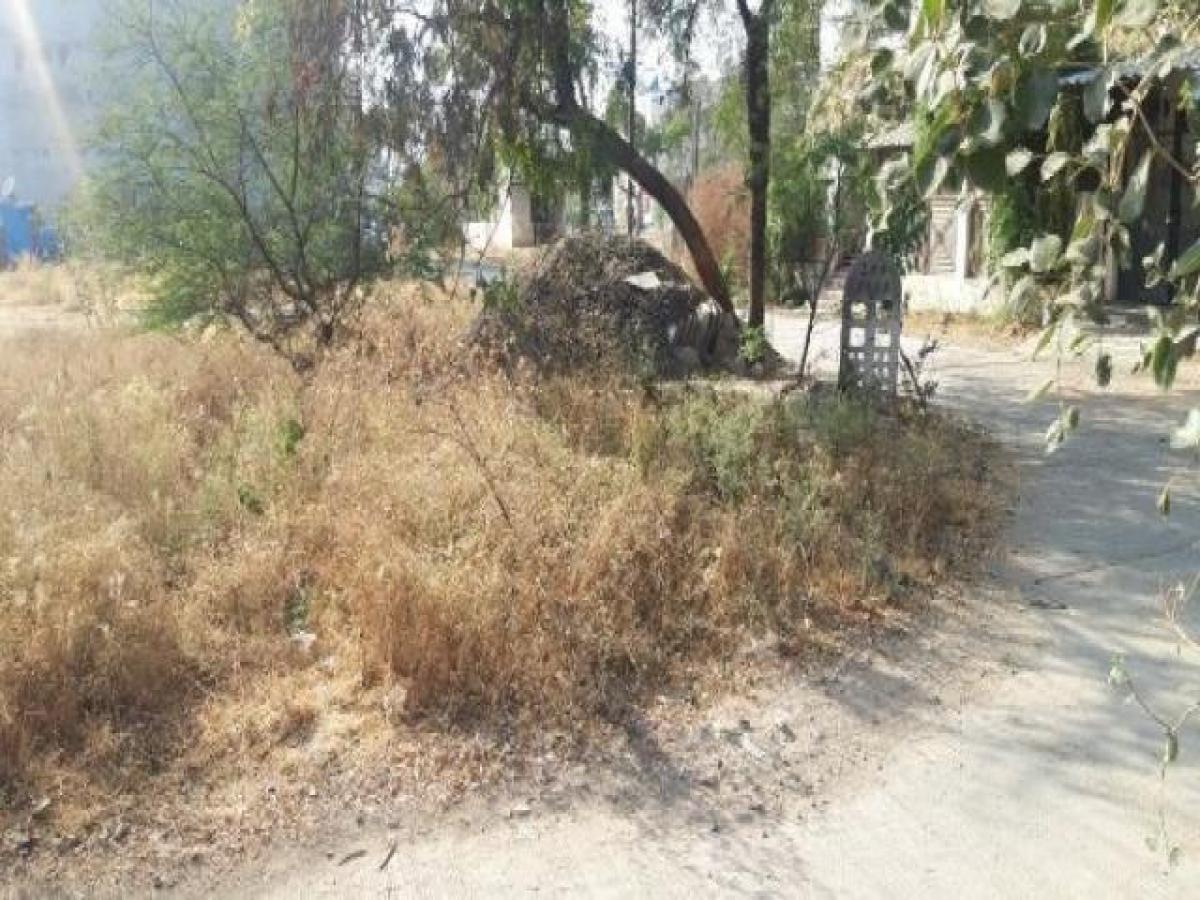  Land in Indore, India No. 30357