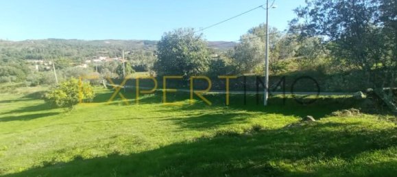 Casa de 3 dormitorios en Celorico da Beira, Portugal No. 11501 16