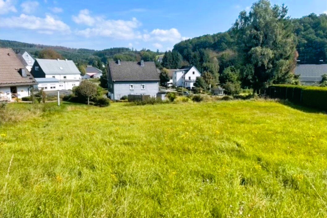  Land in Siegen-Wittgenstein, Germany No. 138766
