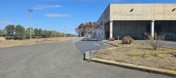 Entrepôt à Belpasso, Italy 2500m² No. 358109 17