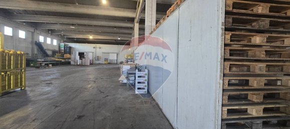 Entrepôt à Belpasso, Italy 2500m² No. 358109 5