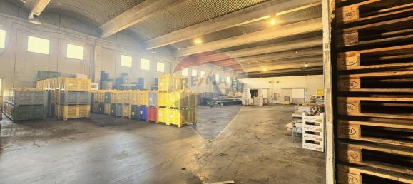 Entrepôt à Belpasso, Italy 2500m² No. 358109 4