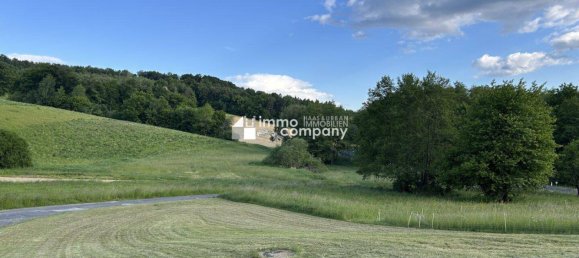 4-Zimmer Bungalow in Neustift bei Güssing, Austria, Nr. 168623 9