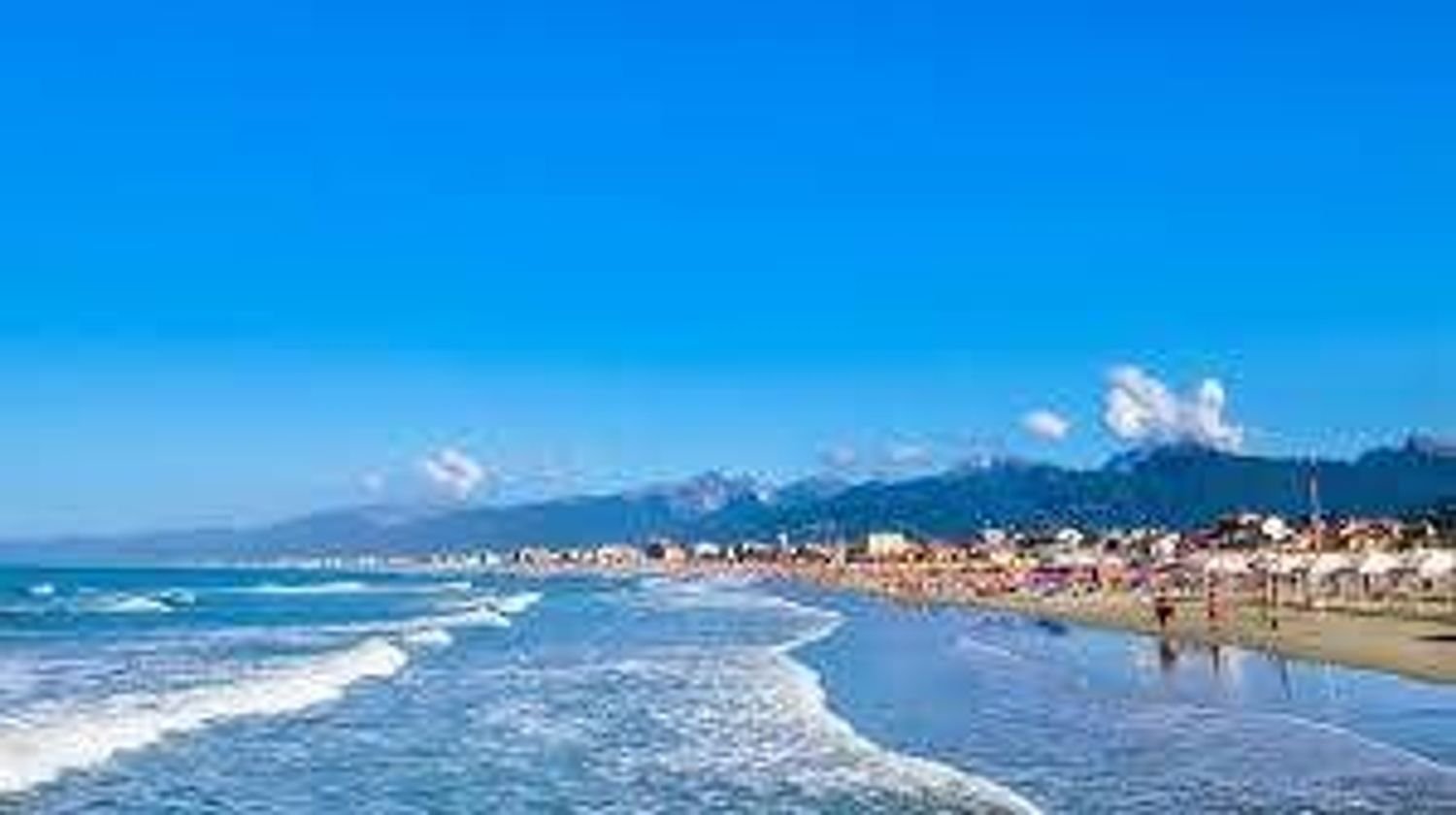 Gewerbliche Immobilie in Viareggio, Italy 3000m², Nr. 74670