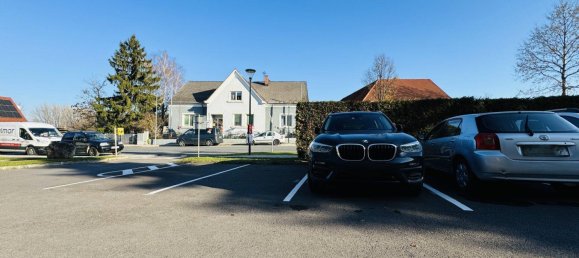 3-Zimmer Gewerbliche Immobilie in Angern an der March, Austria, Nr. 135619 10