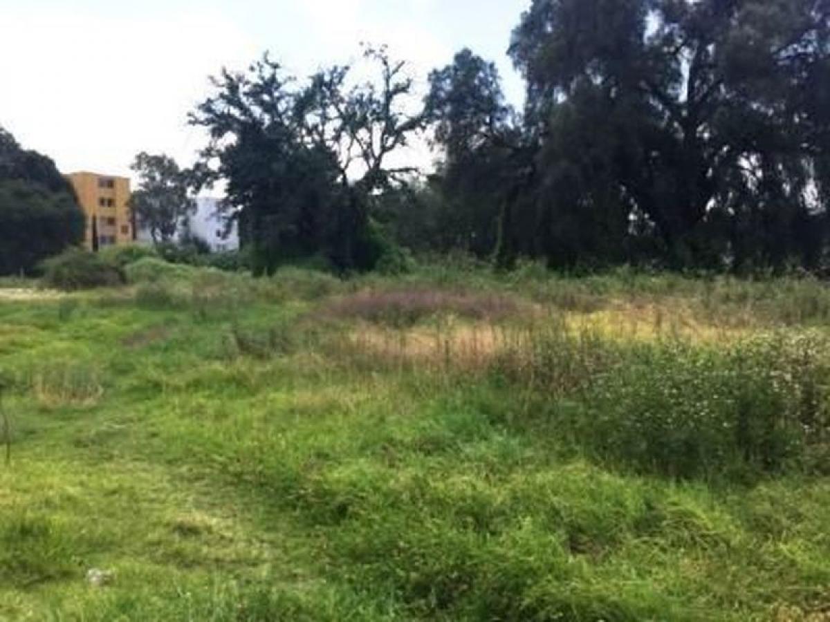  قطعة أرض في Ciudad Lopez Mateos, Mexico رقم 207186