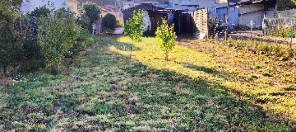 1 bedroom House in La Haie-Fouassiere, France No. 335564 7