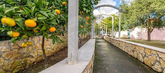 4 bedrooms House in Odivelas, Portugal No. 36924 43