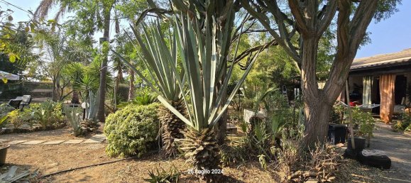 5غرفة فيلا في Partinico, Italy رقم 265754 17