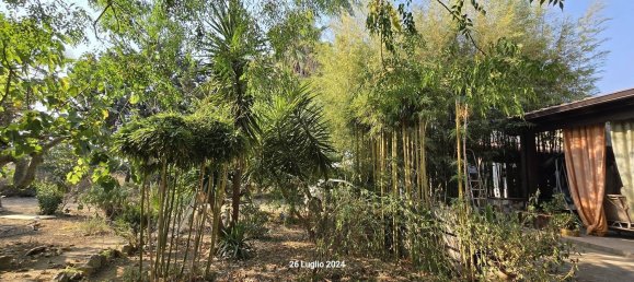 5غرفة فيلا في Partinico, Italy رقم 265754 14