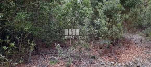 3200m² Land in Penafiel, Portugal No. 55025 3