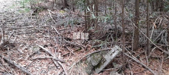 3200m² Land in Penafiel, Portugal No. 55025 2