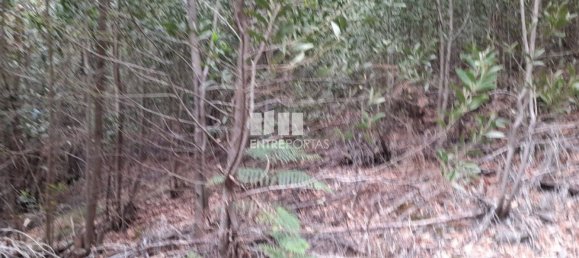 3200m² Land in Penafiel, Portugal No. 55025 6