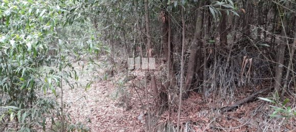 3200m² Land in Penafiel, Portugal No. 55025 4