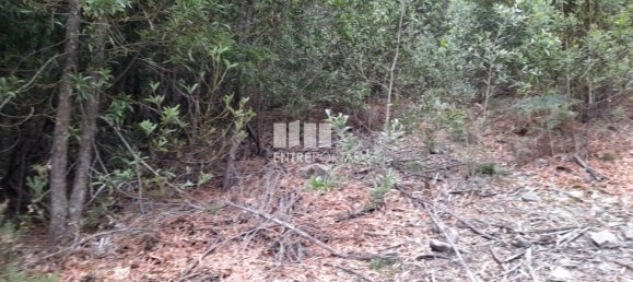 3200m² Land in Penafiel, Portugal No. 55025 12