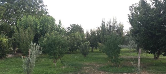 3 bedrooms Commercial property in Veria, Greece No. 6428 14