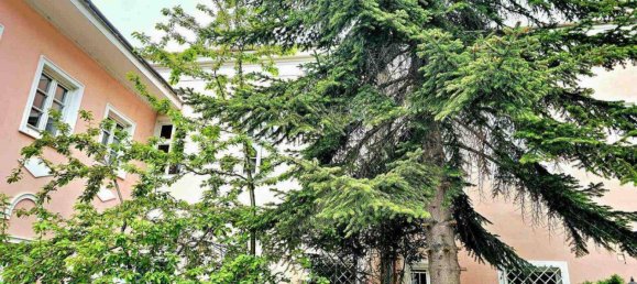 5 rooms Apartment in Stockerau, Austria No. 135807 13