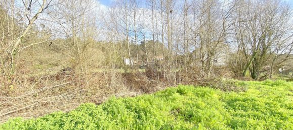 Grundstück in Brion, Spain 468m², Nr. 45559 37