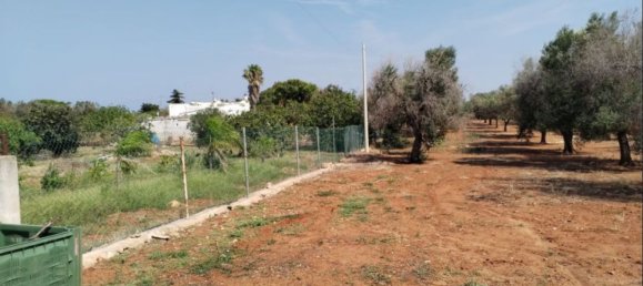 Вилла с 6 спальнями в Каровиньо, Италия № 327818 7