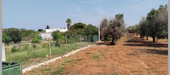 Вилла с 6 спальнями в Каровиньо, Италия № 327818 26