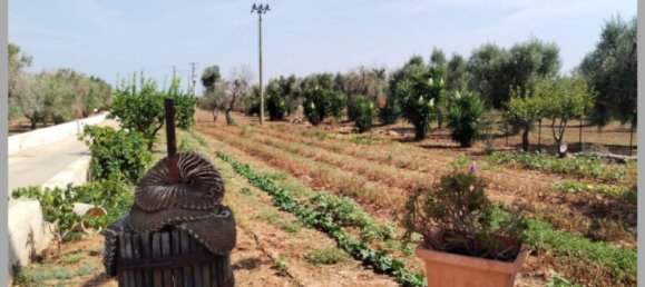 Вилла с 6 спальнями в Каровиньо, Италия № 327818 25