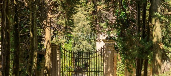 14 bedrooms Villa in Collesalvetti, Italy No. 92550 33