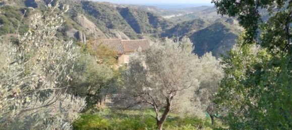 3 rooms Villa in Caulonia, Italy No. 251190 19