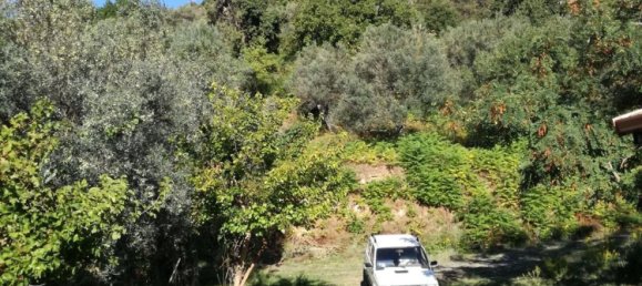 3 rooms Villa in Caulonia, Italy No. 251190 16