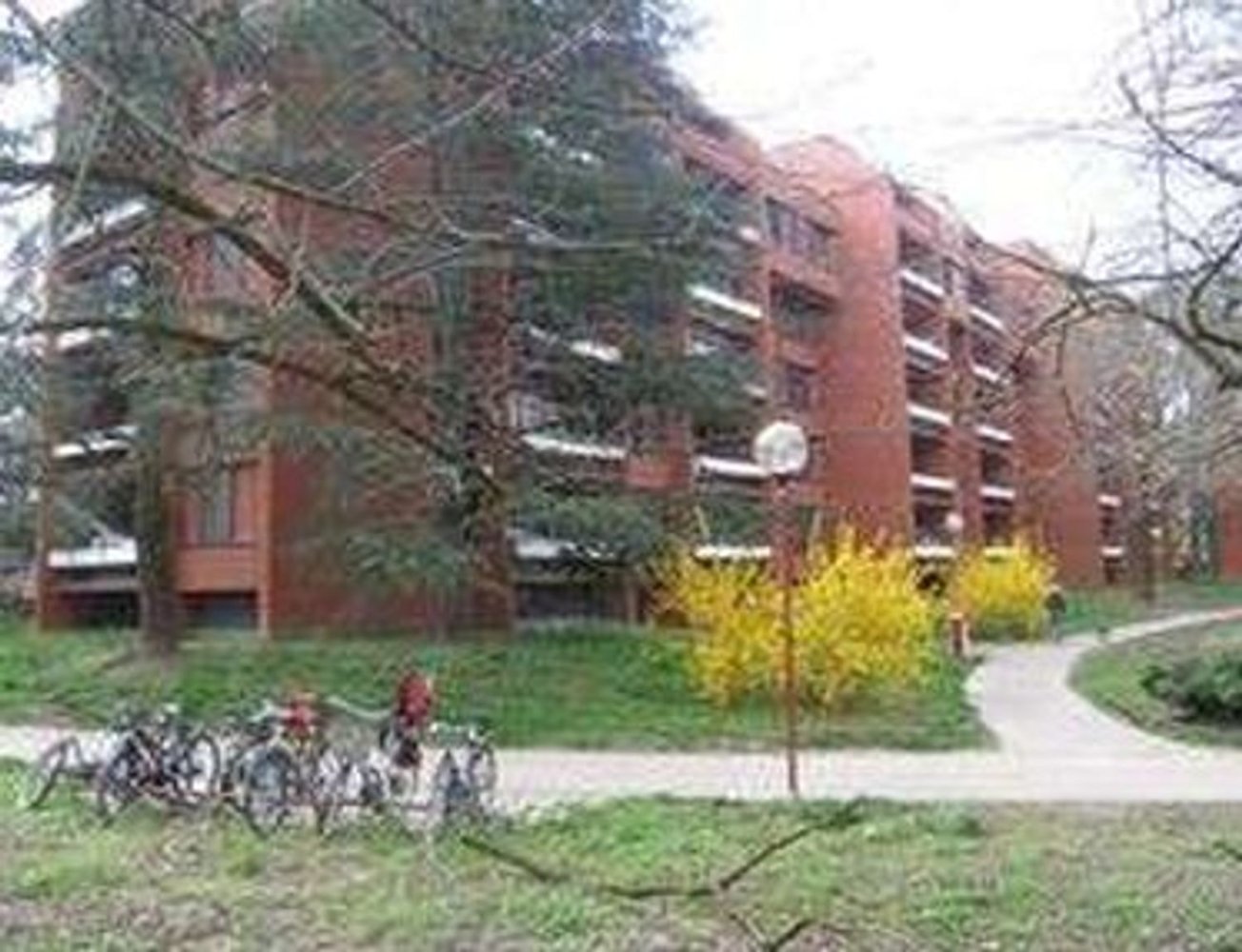 2 rooms Apartment in Basiglio, Italy No. 3701