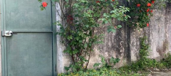 4 Schlafzimmer Villa in Casalbuttano ed Uniti, Italy, Nr. 288994 4