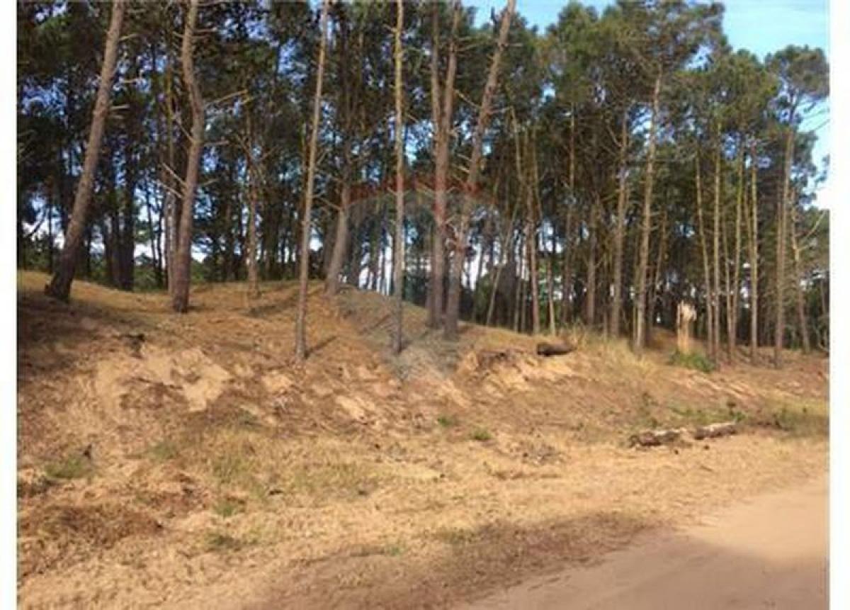  Land in Mar del Plata, Argentina No. 116874