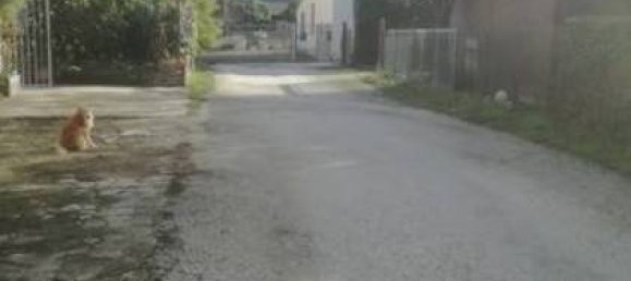 Apartamento T3 em Trani, Italy N.º 294128 4