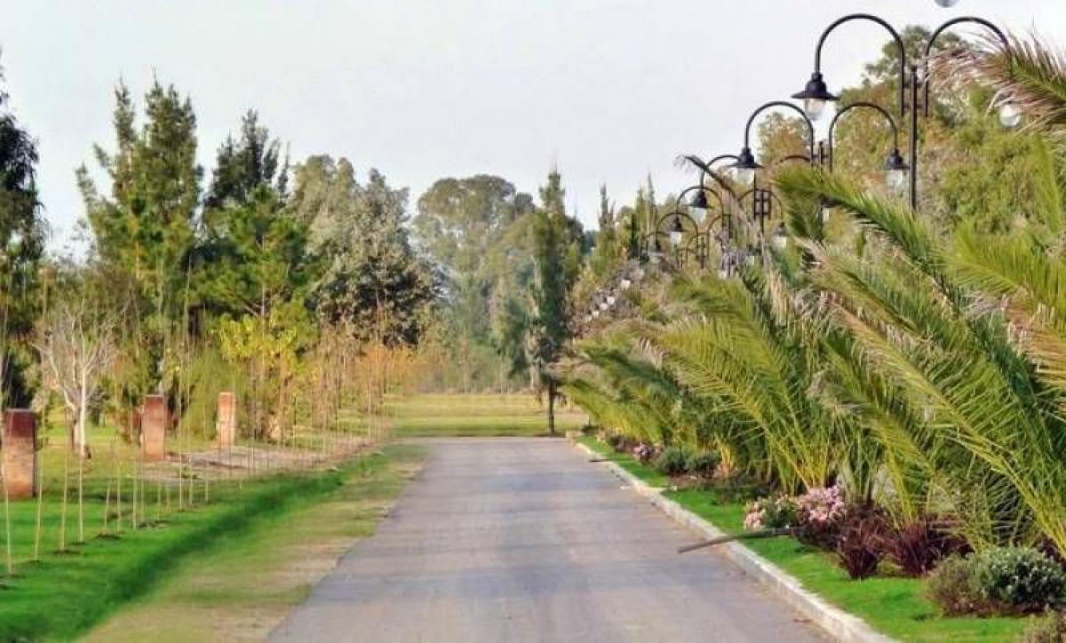  قطعة أرض في Campo Creado, Argentina رقم 46970