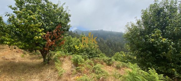  Land in Calheta, Portugal No. 111362 20