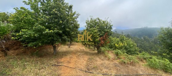  Land in Calheta, Portugal No. 111362 17