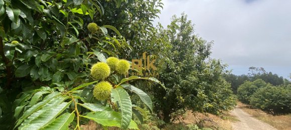  Land in Calheta, Portugal No. 111362 21