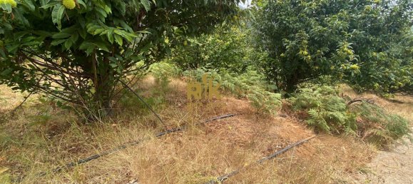  Land in Calheta, Portugal No. 111362 22