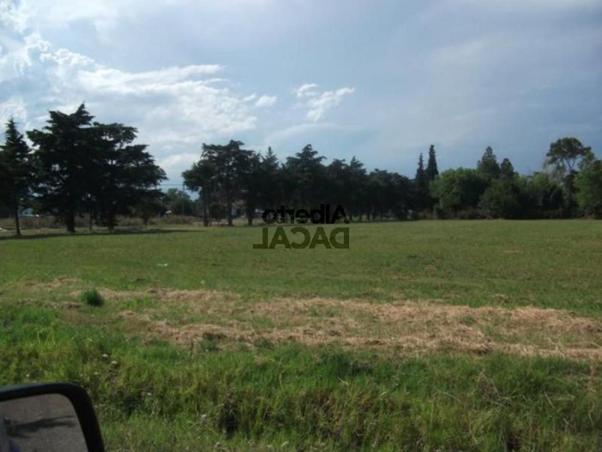  Land in Campo Creado, Argentina No. 46799