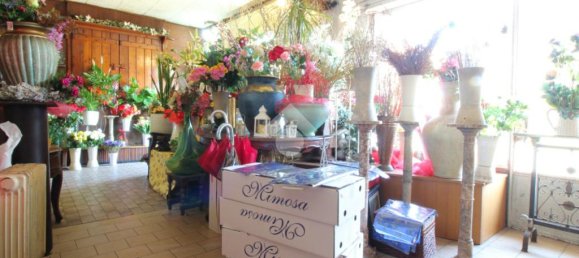 4 bedrooms Villa in Pavia, Italy No. 60326 15