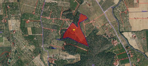 Terreno em Carcaixent, Spain N.º 156142 2