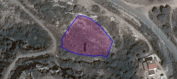 4 bedrooms Villa in Pegeia, Cyprus No. 22351 12