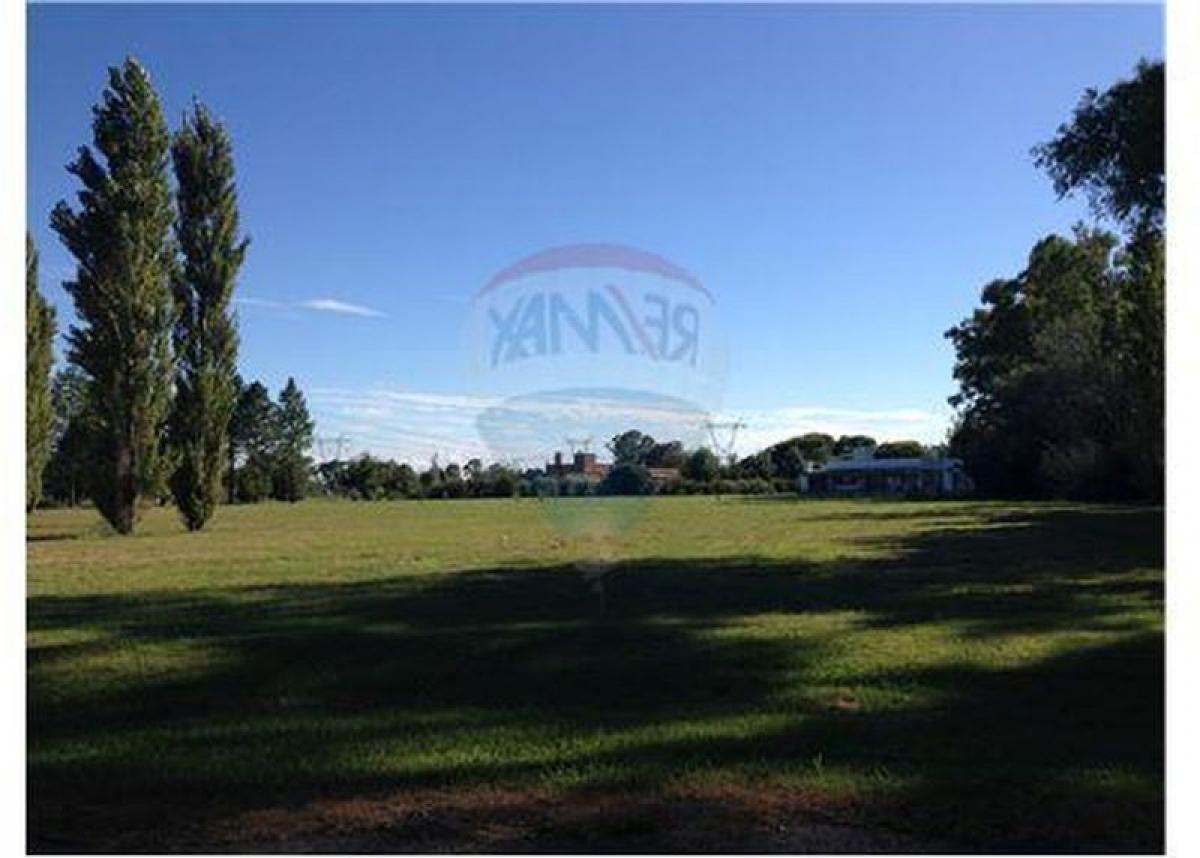 Grundstück in Pilar, Argentina, Nr. 44528